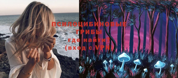 PSILOCYBIN Волоколамск