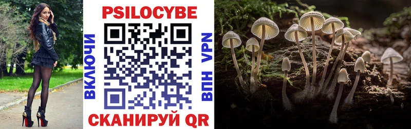Купить  Спасск-Рязанский  Псилоцибиновые грибы прущие грибы 